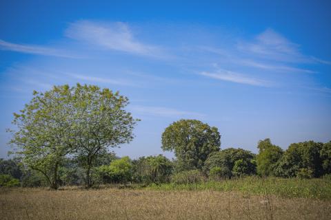 Whispers of the Open Land